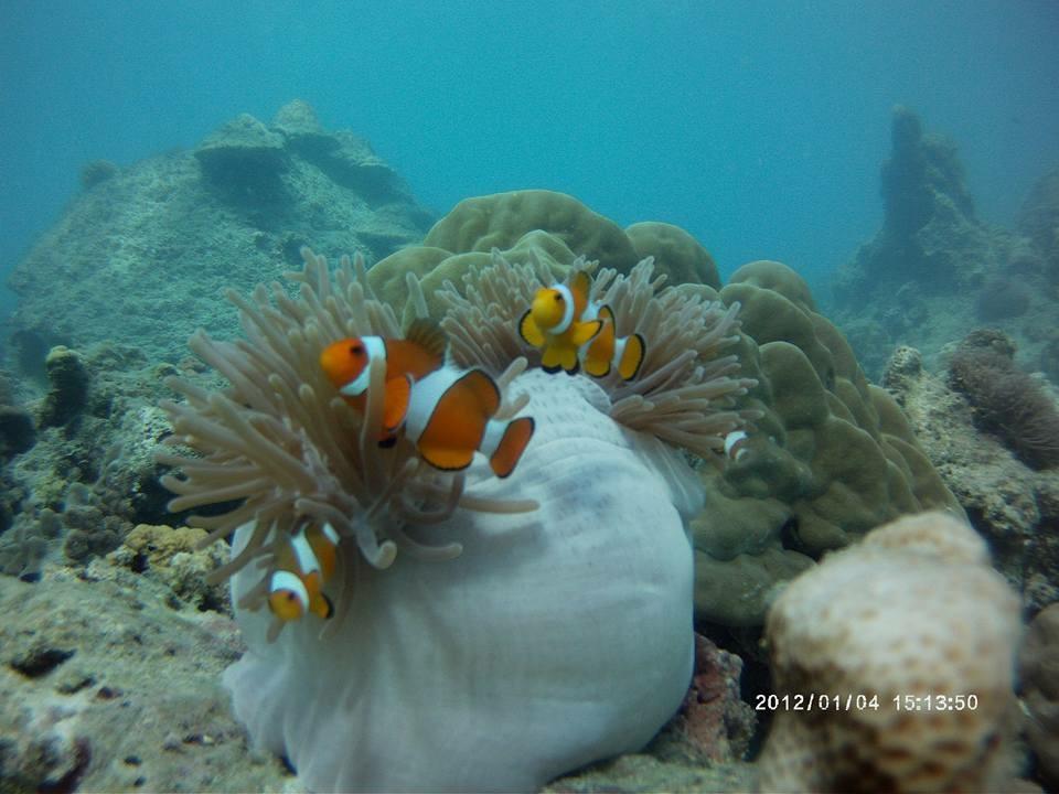 Libong Sea Breeze Resort エクステリア 写真