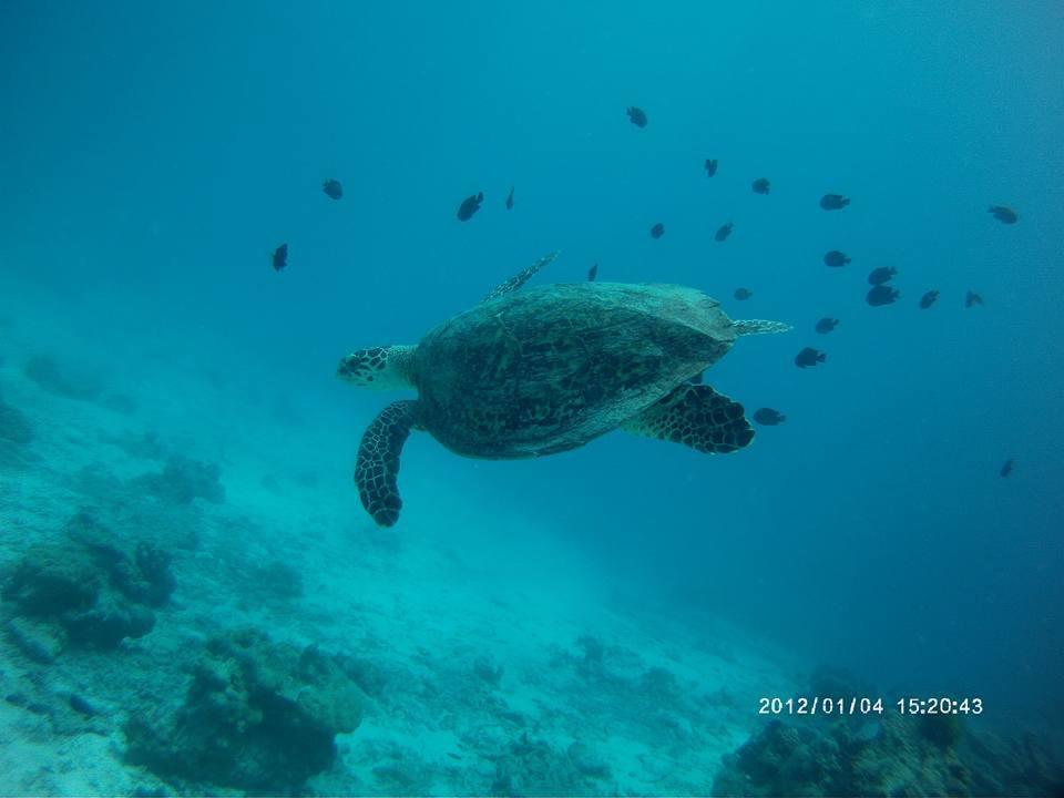 Libong Sea Breeze Resort エクステリア 写真